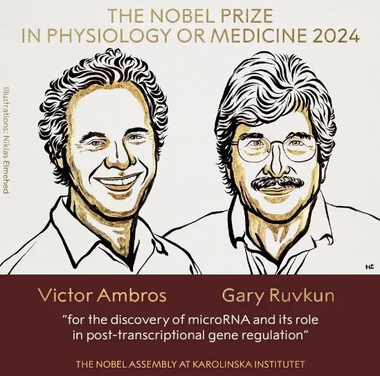 2024年諾貝爾生理學或醫(yī)學獎獲獎者，Victor Ambros和Gary Ruvkun